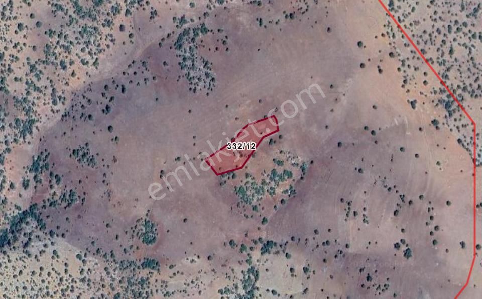 Konya Güneysınır Habiller Köyünde 3.856 M² Bağ Satılıktır