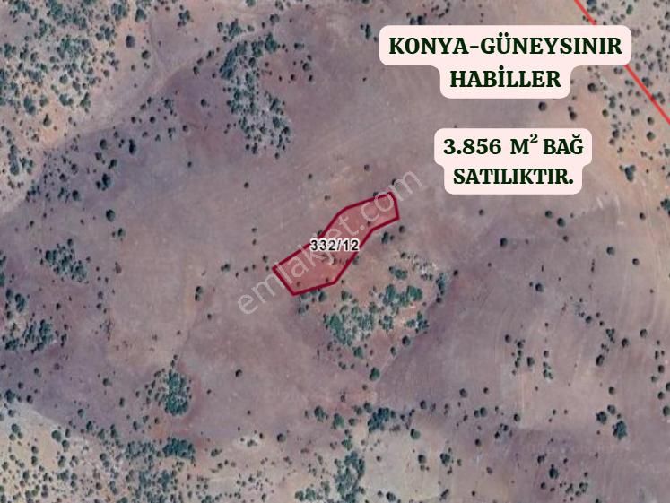 Konya Güneysınır Habiller Köyünde 3.856 M² Bağ Satılıktır - Görsel 2