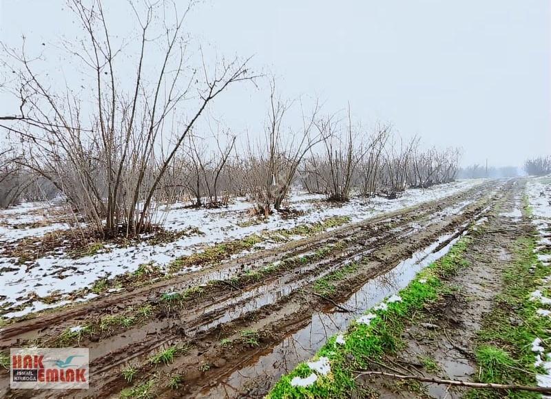 Hak Emlak'tan Darıcı Mahallesinde Fırsat Satılık 487m² Arsa - Görsel 2