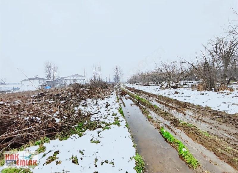 Hak Emlak'tan Darıcı Mahallesinde Fırsat Satılık 487m² Arsa - Görsel 11