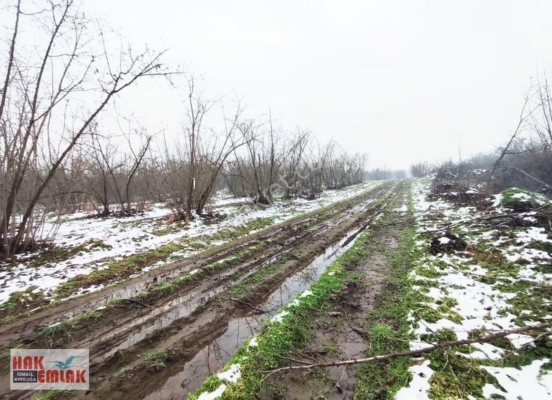 Hak Emlak'tan Darıcı Mahallesinde Fırsat Satılık 487m² Arsa - Görsel 34
