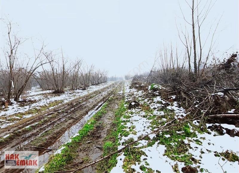 Hak Emlak'tan Darıcı Mahallesinde Fırsat Satılık 487m² Arsa - Görsel 18
