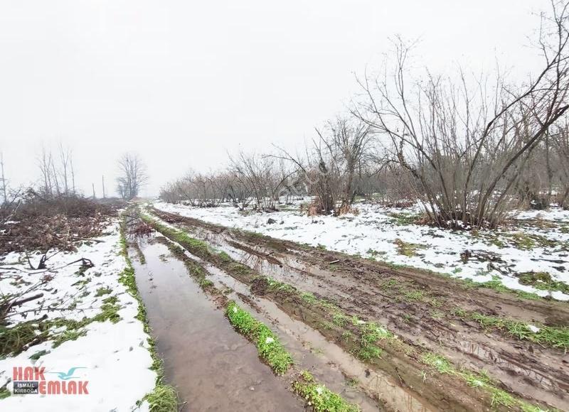 Hak Emlak'tan Darıcı Mahallesinde Fırsat Satılık 487m² Arsa - Görsel 12