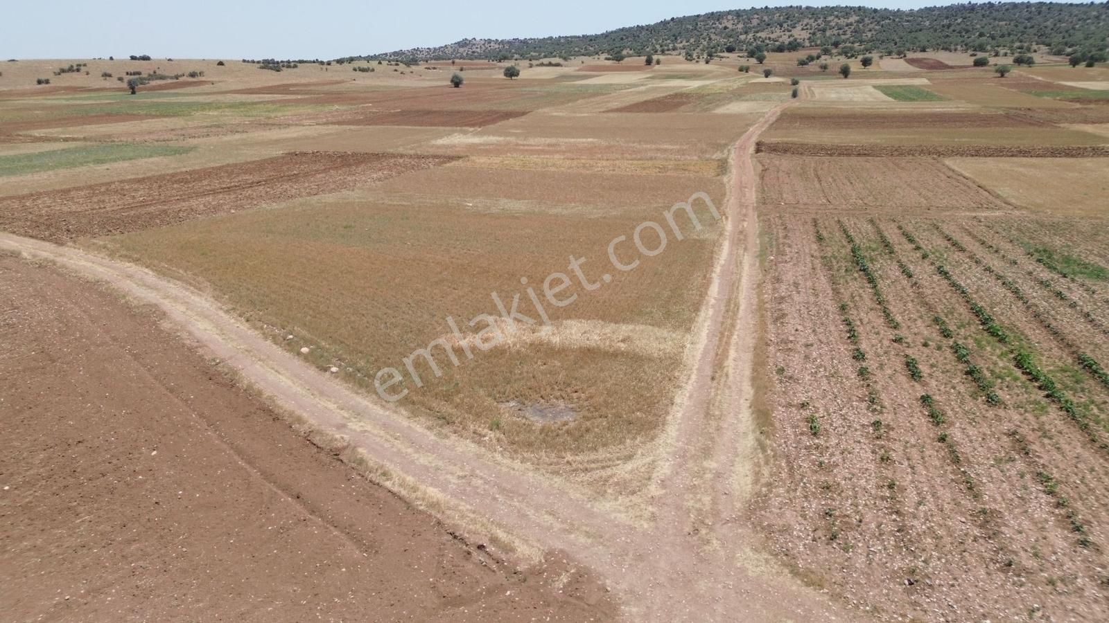 Akören Merkez'de Süper Fırsat Köşe Parsel 429 M² Tarla - Görsel 6