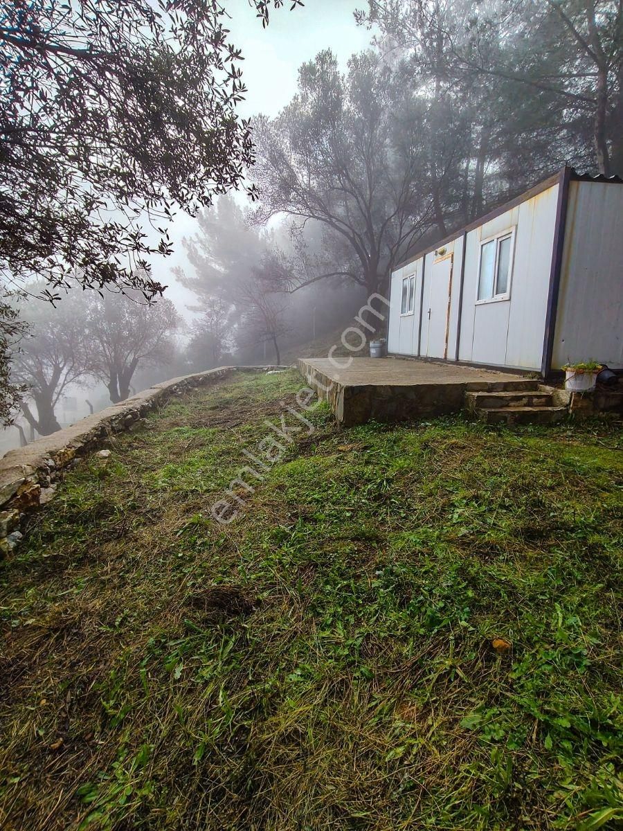 1241m² Köy İçi | Manzaralı | Numaratajlı | Yapı Kayıtlı - Görsel 8