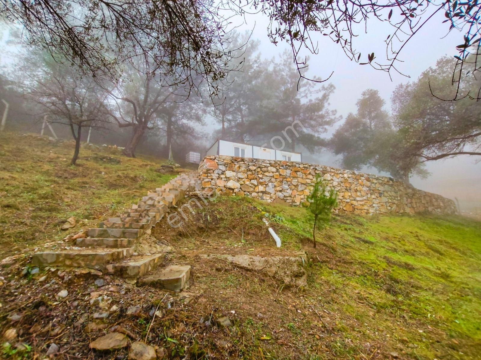 1241m² Köy İçi | Manzaralı | Numaratajlı | Yapı Kayıtlı - Görsel 5