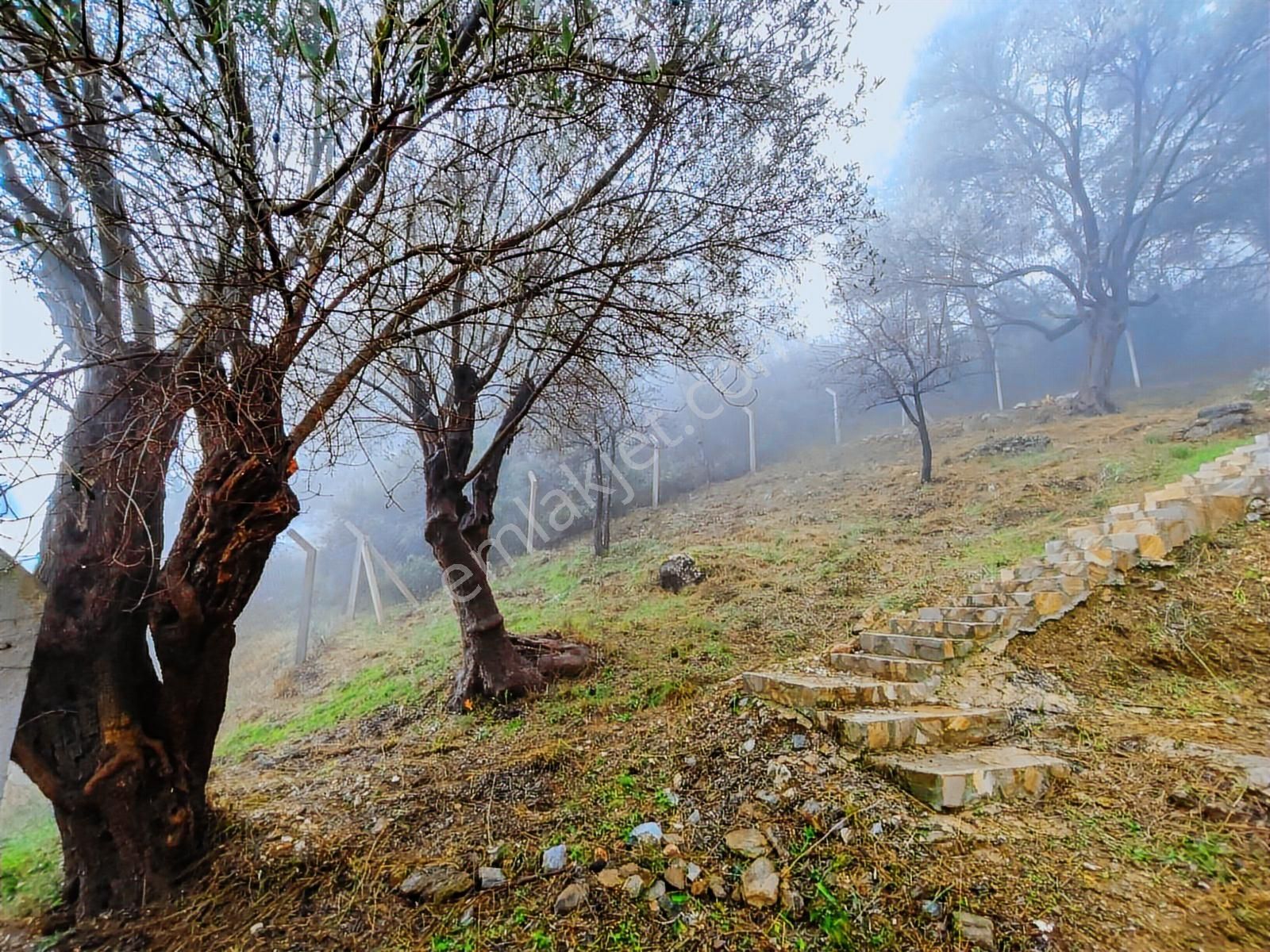 1241m² Köy İçi | Manzaralı | Numaratajlı | Yapı Kayıtlı - Görsel 6