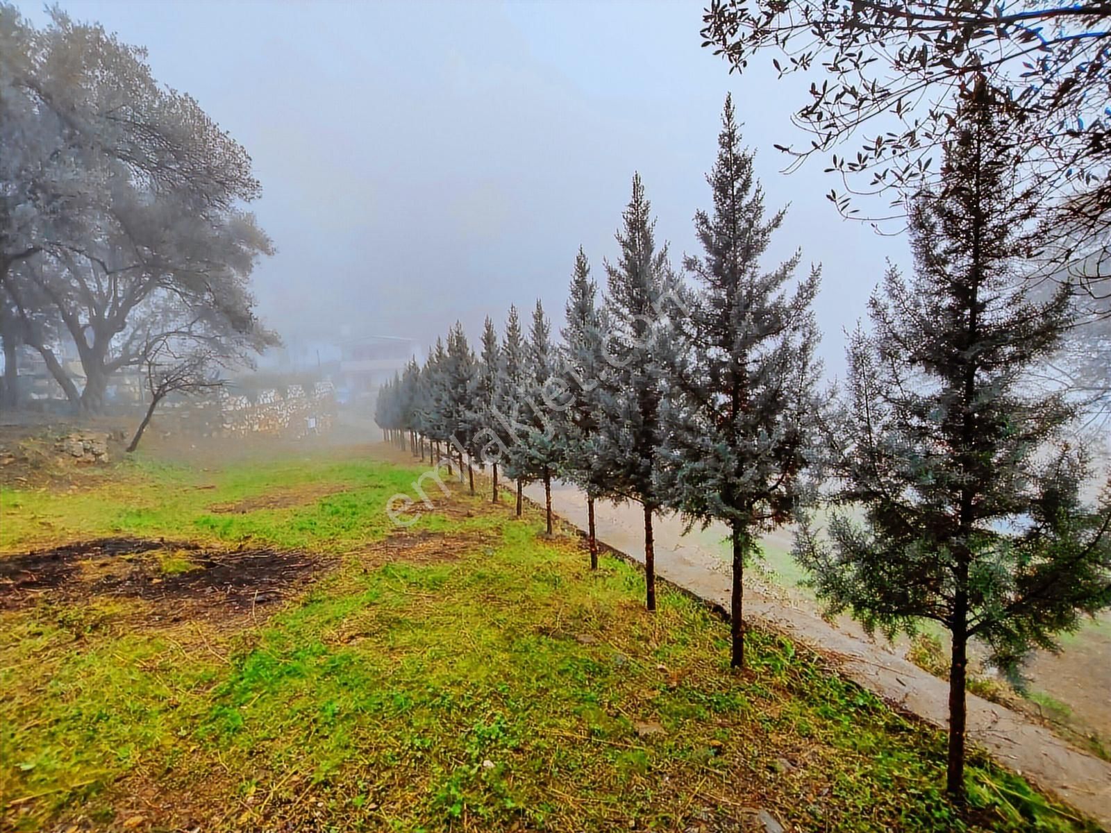 1241m² Köy İçi | Manzaralı | Numaratajlı | Yapı Kayıtlı - Görsel 11