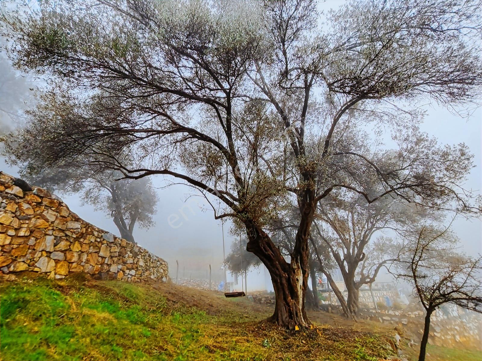 1241m² Köy İçi | Manzaralı | Numaratajlı | Yapı Kayıtlı - Görsel 14