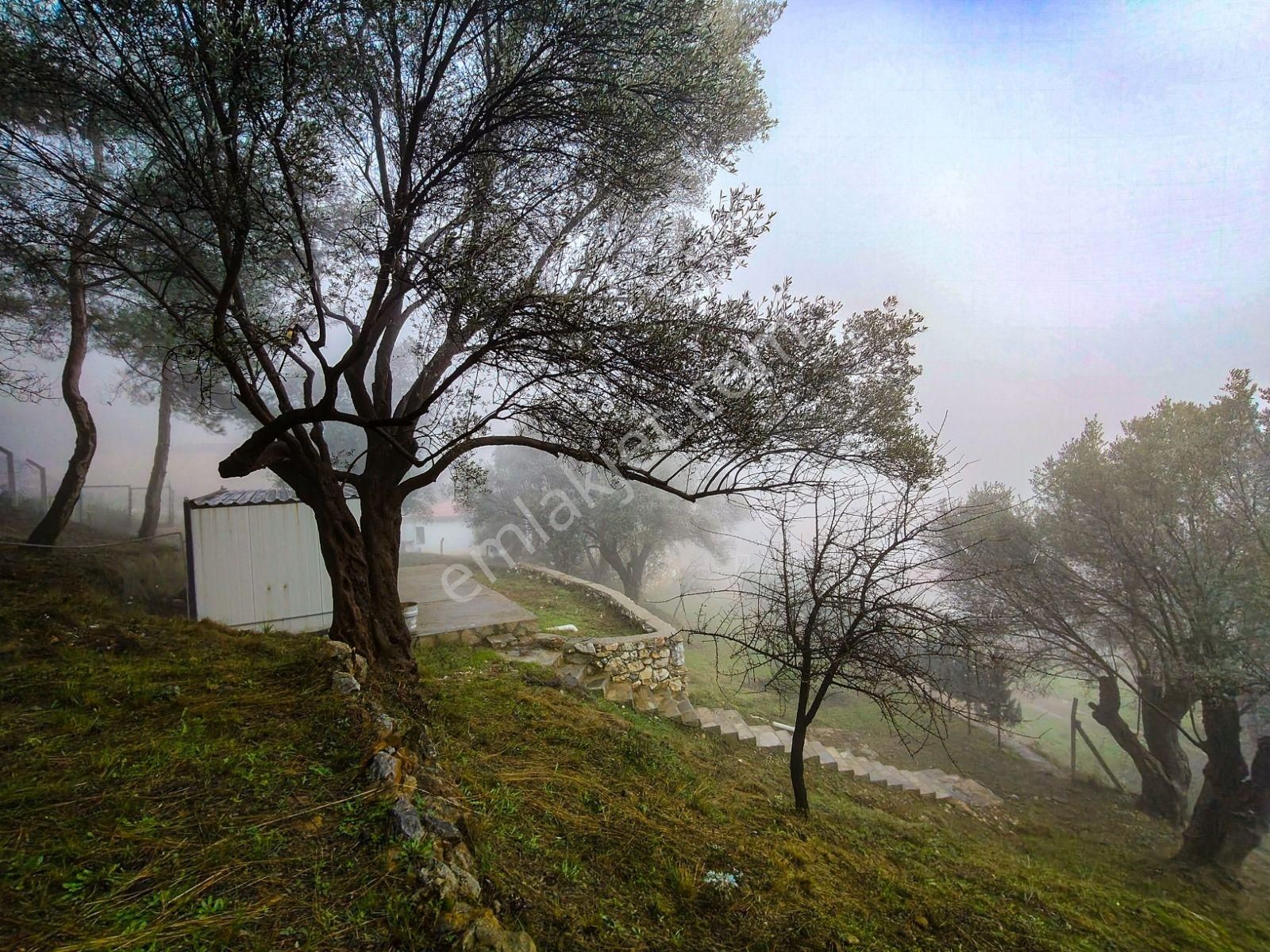 1241m² Köy İçi | Manzaralı | Numaratajlı | Yapı Kayıtlı - Görsel 12