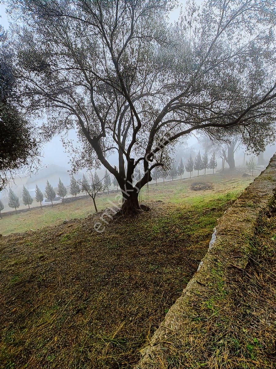 1241m² Köy İçi | Manzaralı | Numaratajlı | Yapı Kayıtlı - Görsel 9