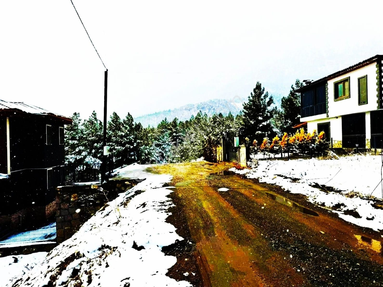 Kar Emlaktan Alpu Yaylasında 480 M2 Satılık Arsa