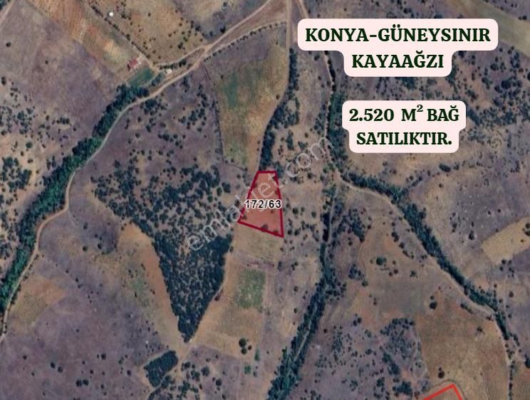 Konya Güneysınır Kayaağzı Köyünde 2.520 M² Bağ Satılıktır - Görsel 2