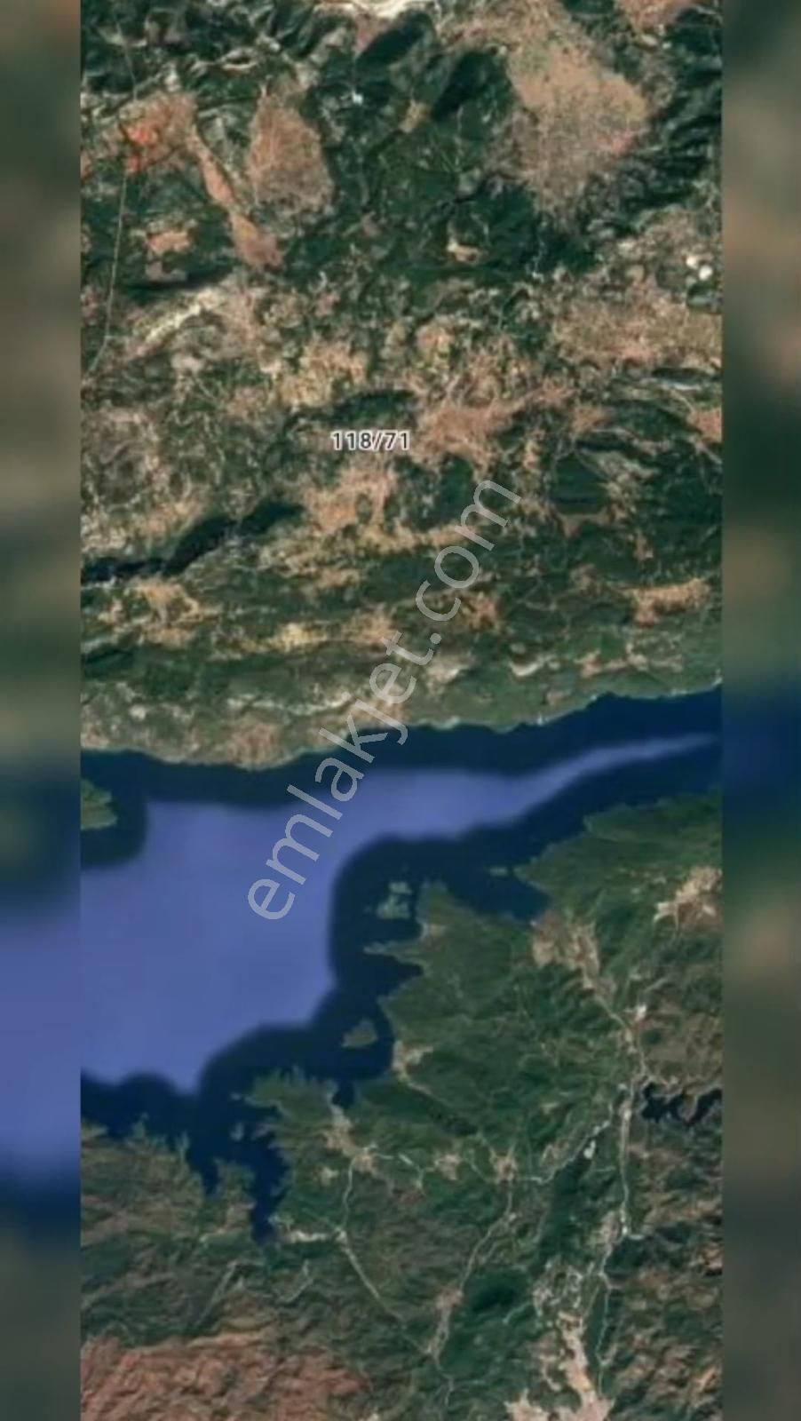 Muğla Denizova'da Zeytin Ağaçlı Fıstıklık Ve Tarla - Görsel 2