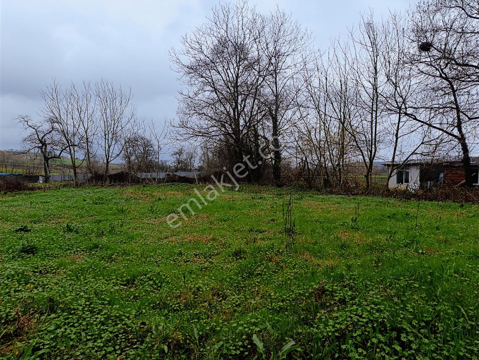 Salmanlıda Asfalt Cepe 470 M2 Satılık Arsa %40 2 Kat - Görsel 17