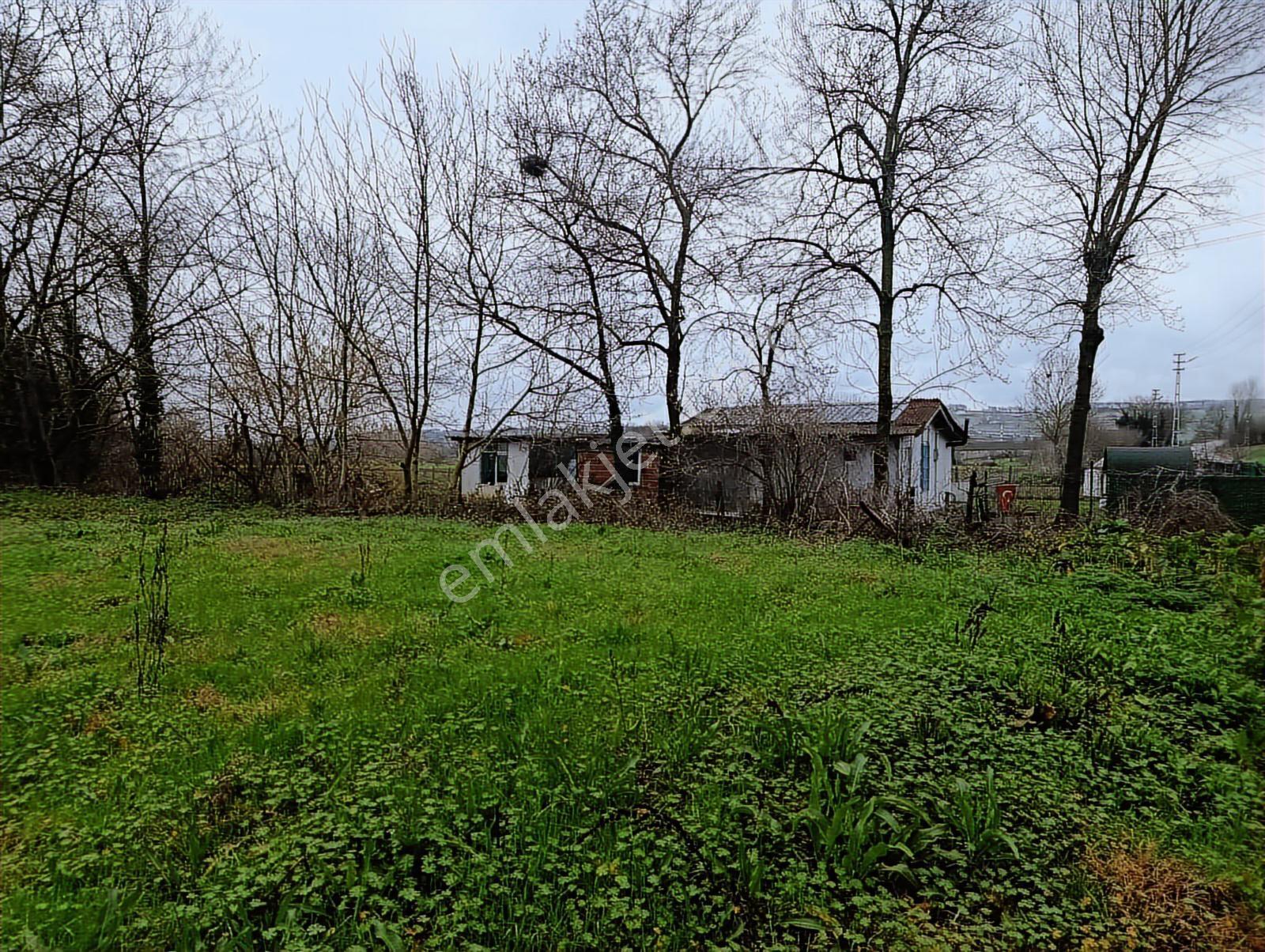 Salmanlıda Asfalt Cepe 470 M2 Satılık Arsa %40 2 Kat - Görsel 3