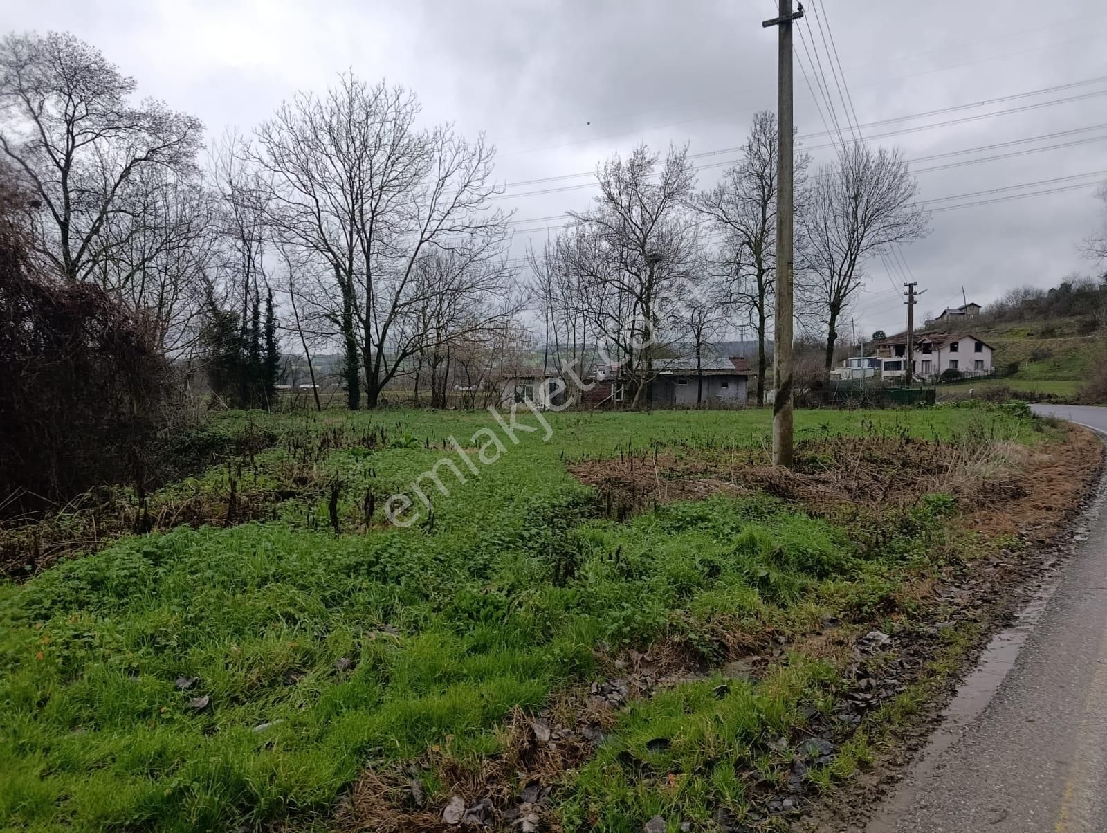 Salmanlıda Asfalt Kenarı Ev Yapabileceğiniz 470 M2 Satılık Arsa - Görsel 12