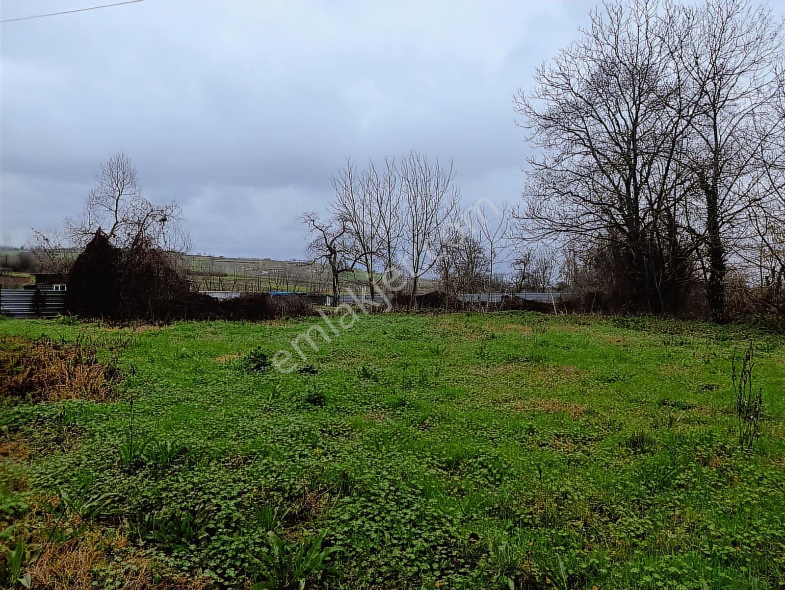 Salmanlıda Asfalt Cepe 470 M2 Satılık Arsa %40 2 Kat - Görsel 14