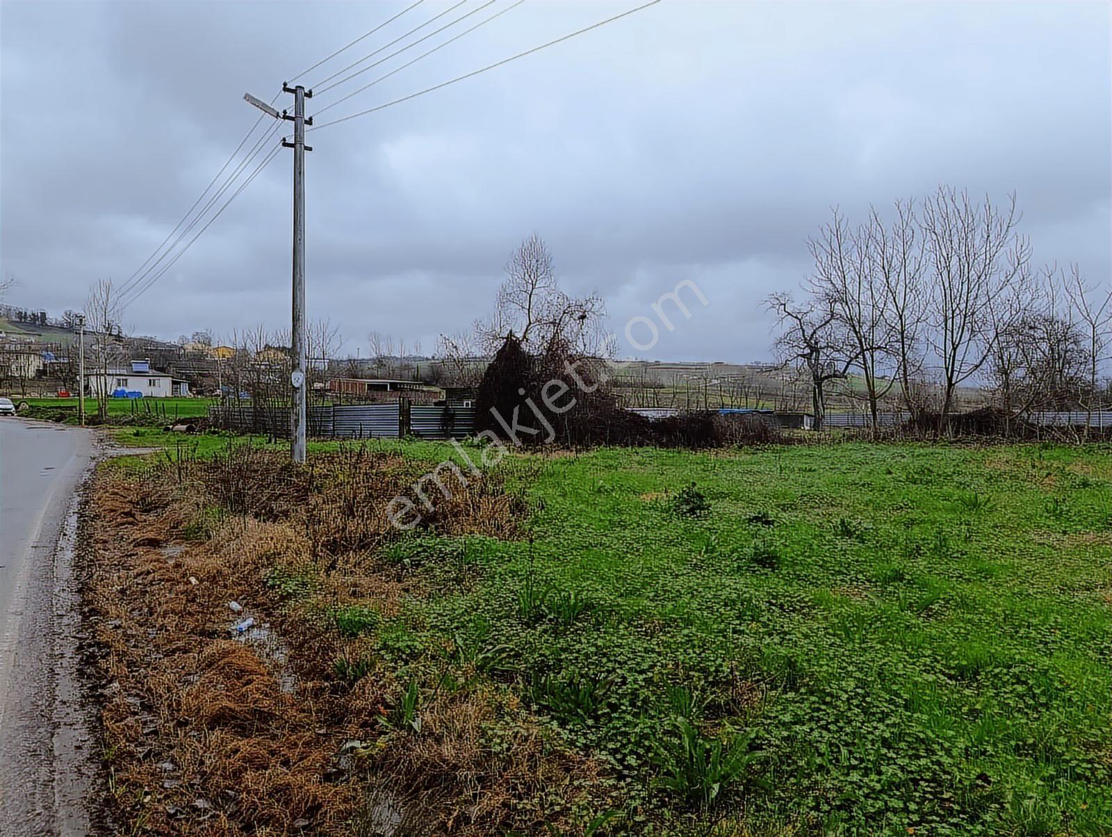 Salmanlıda Asfalt Cepe 470 M2 Satılık Arsa %40 2 Kat - Görsel 16