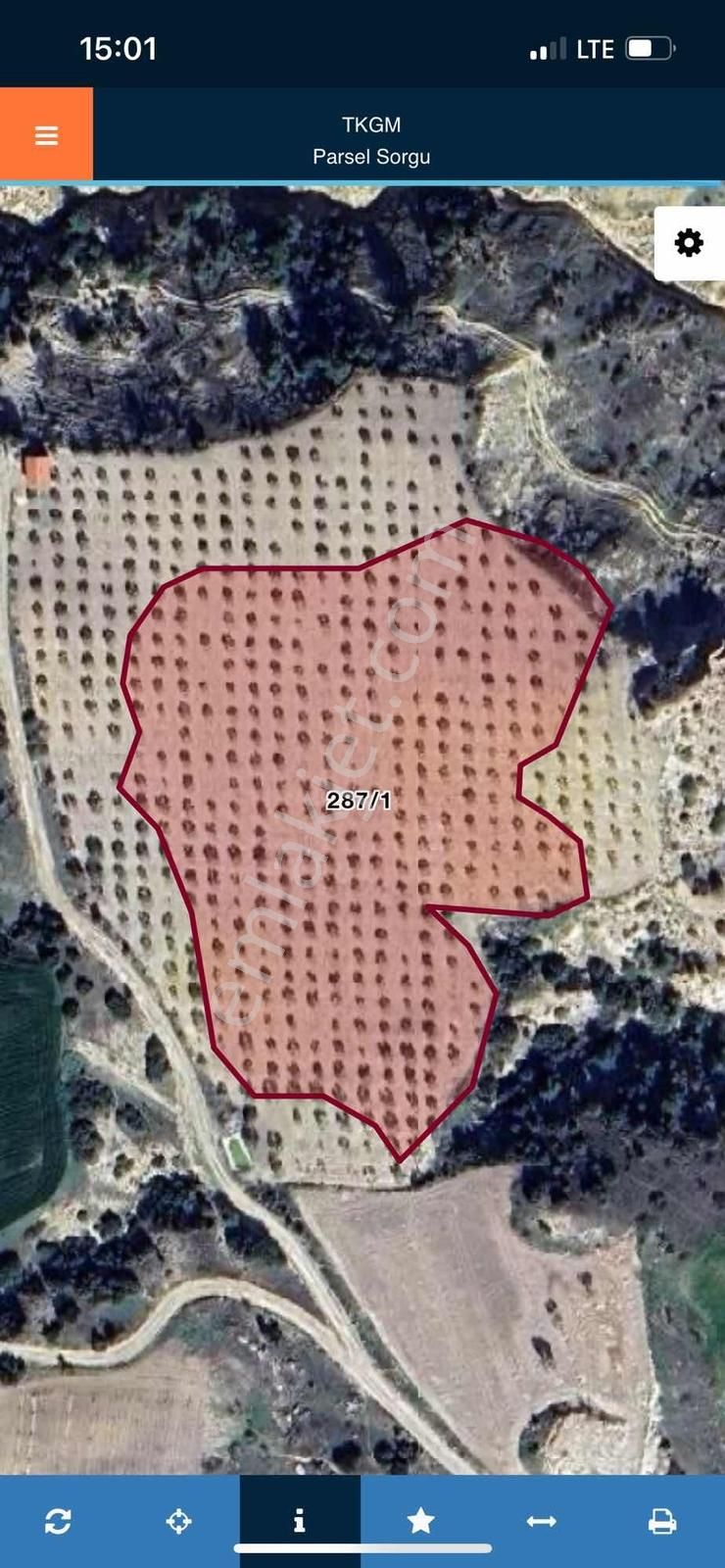 Kocabıyık Gayrimenkul'den Sarayköy Sazak Zeytin Bahçesi