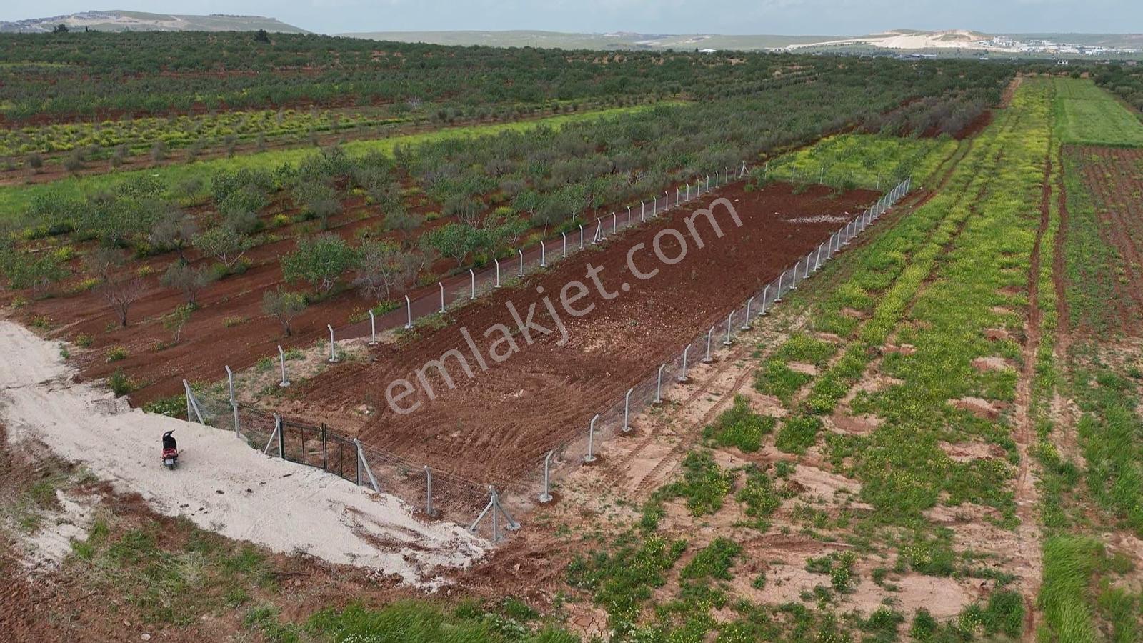 Akyol Gayrimenkul Den Satlık Oğuzeli İnönü Mahallesinde Satlık Arazi - Görsel 4