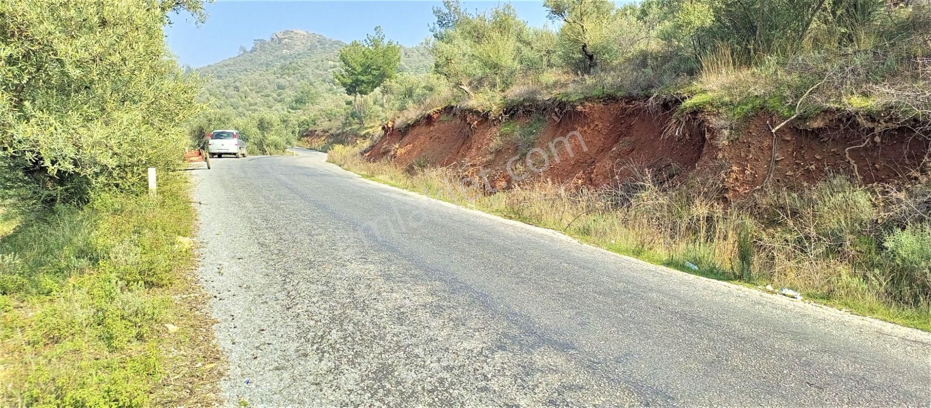 Torbalı Emlak'tan Bayındır Kızılcaova'da Yolu Olan, Köye Yakın, Manzaralı 4.415m2 Zeytinlik Satılık - Görsel 2