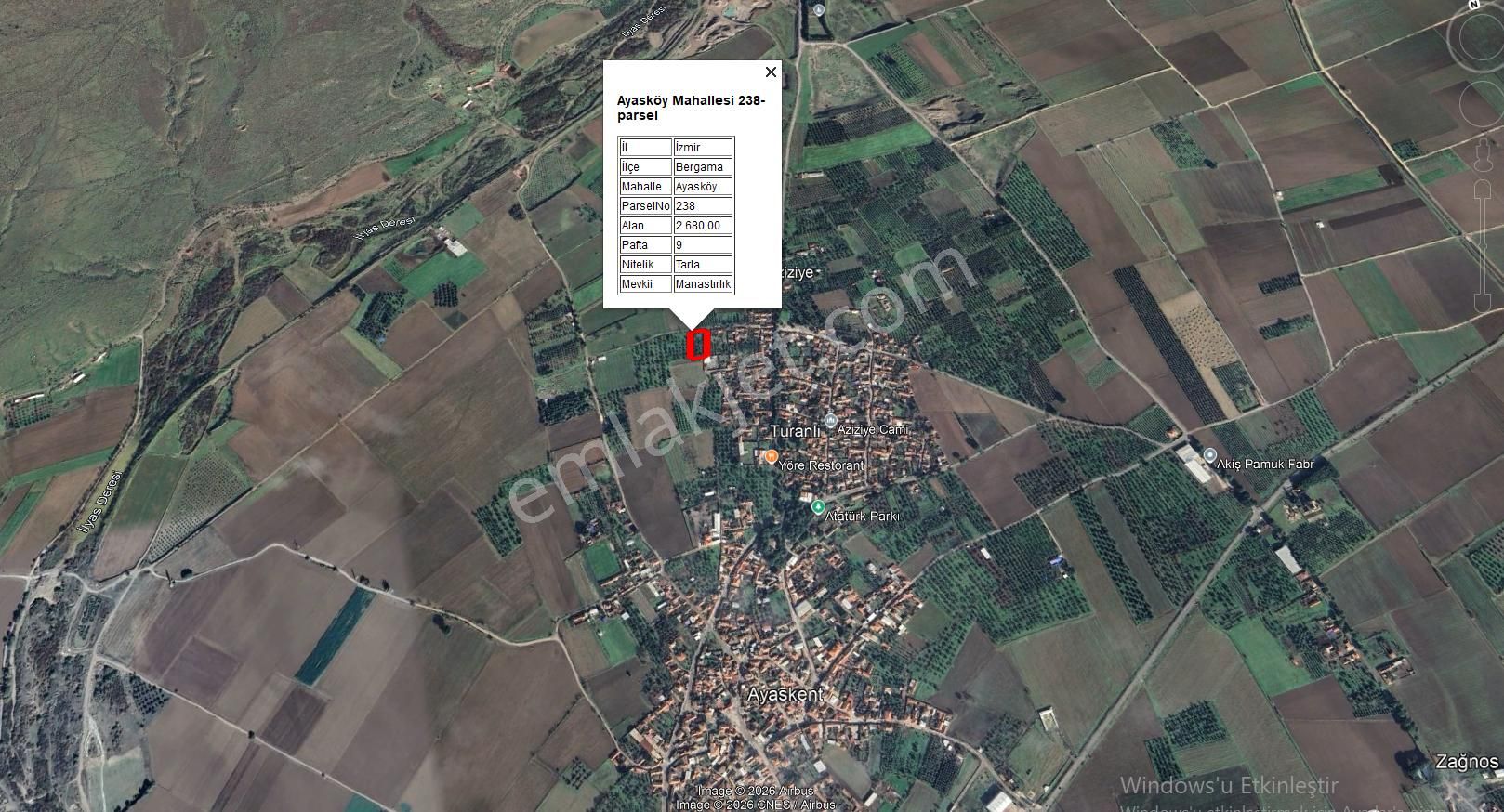 Ayazköyde Yola Cepheli Köy Kenarı Zeytinlik - Görsel 3