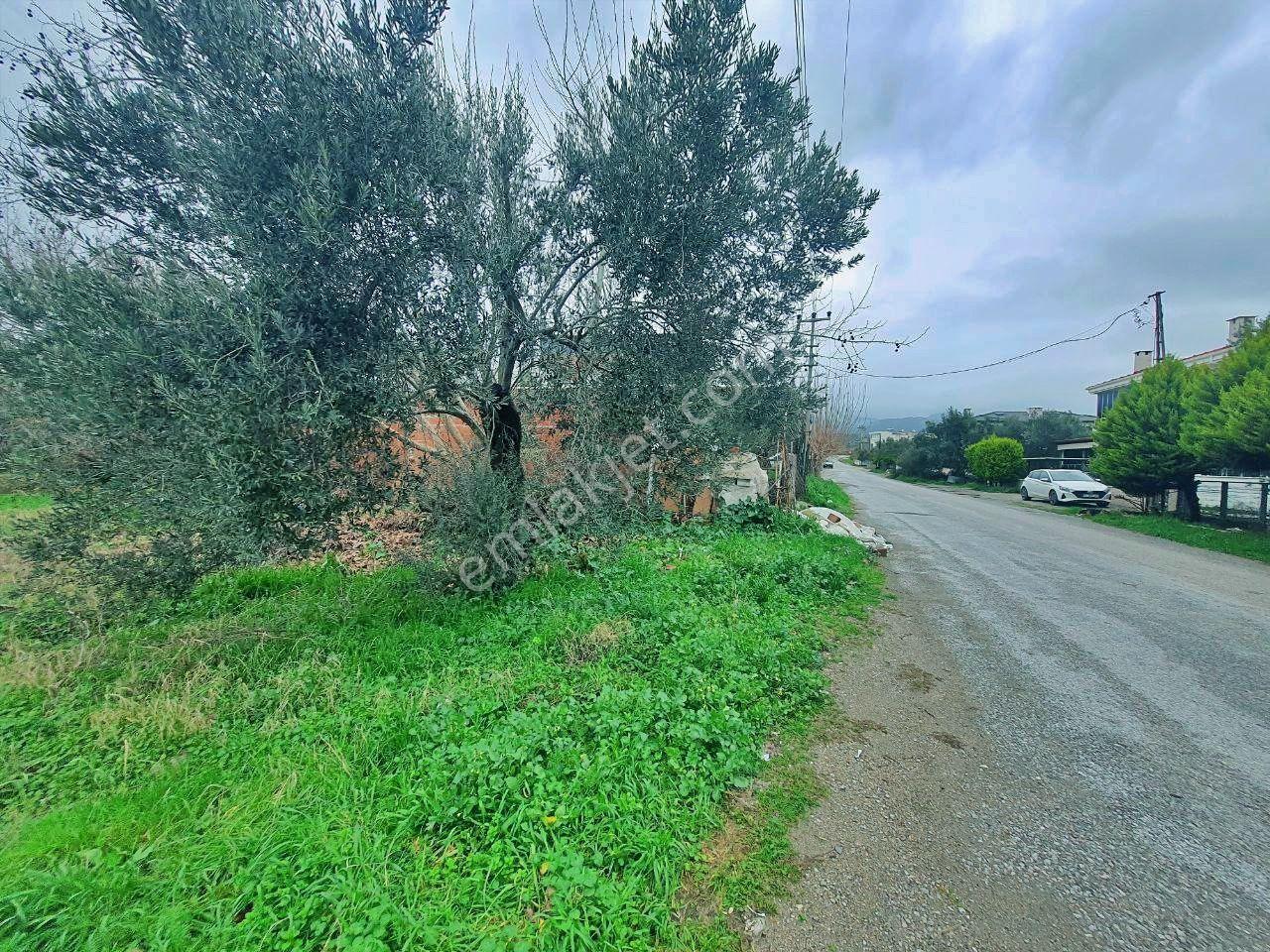 Uytundan Gürede Denize Yakın 355 Metrekare İmarlı Villa Arsası - Görsel 32