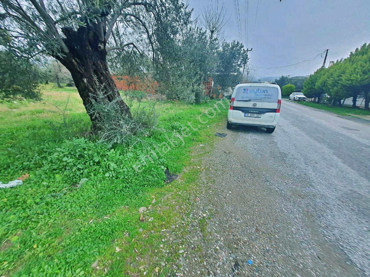 Uytundan Gürede Denize Yakın 355 Metrekare İmarlı Villa Arsası - Görsel 23