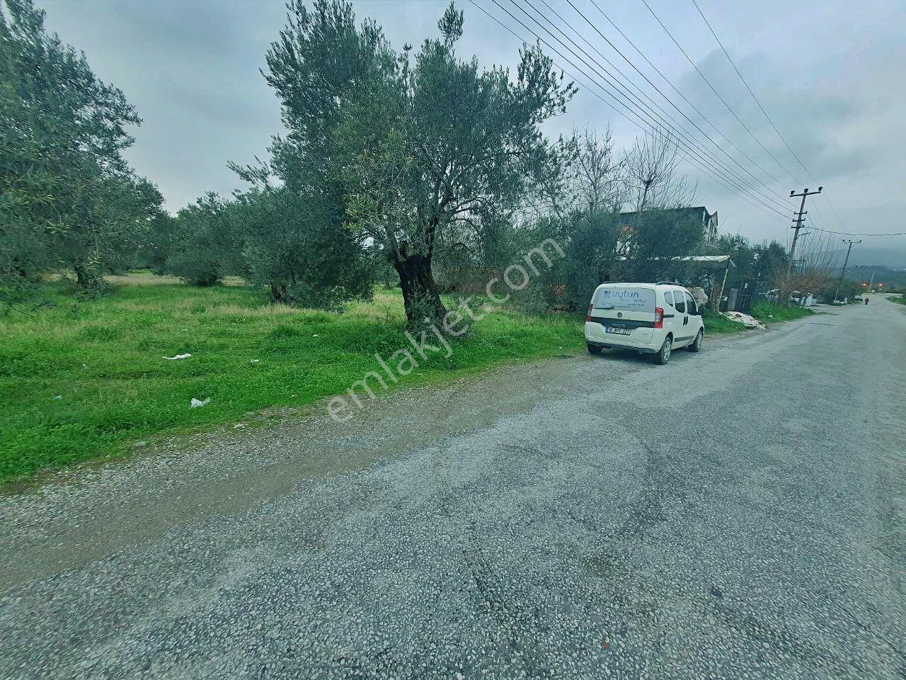 Uytundan Gürede Denize Yakın 355 Metrekare İmarlı Villa Arsası - Görsel 17
