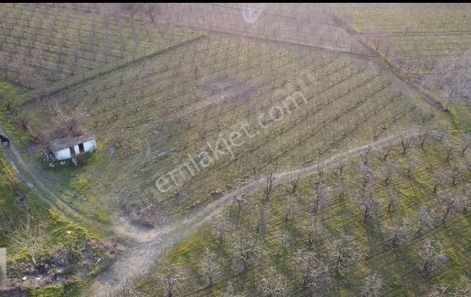 Yıldırım Samanlı`da Arazi - Görsel 5