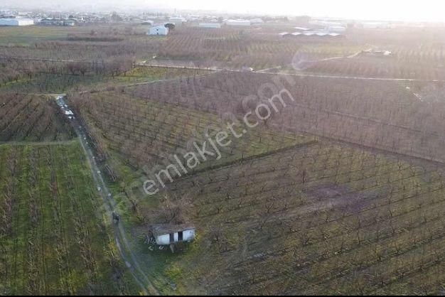 Yıldırım Samanlı`da Arazi - Görsel 2