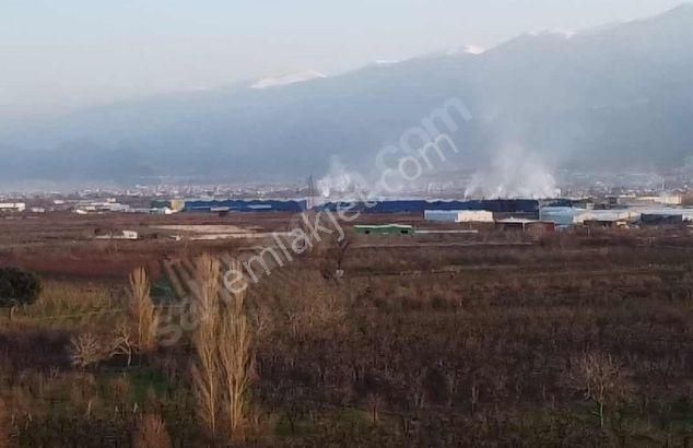 Yıldırım Samanlı`da Arazi - Görsel 6