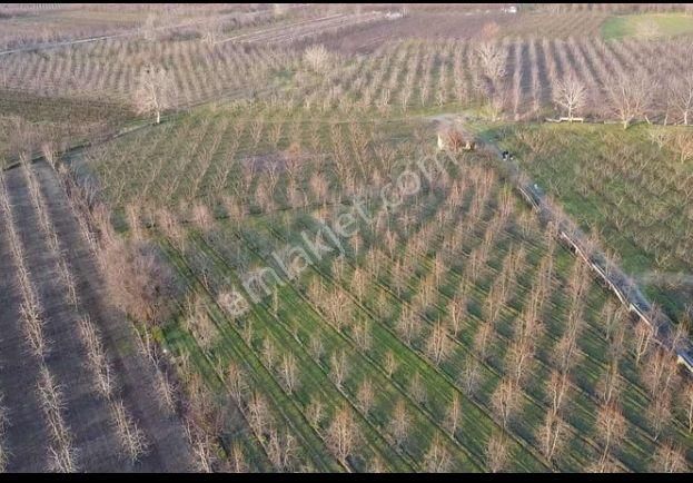 Yıldırım Samanlı`da Arazi