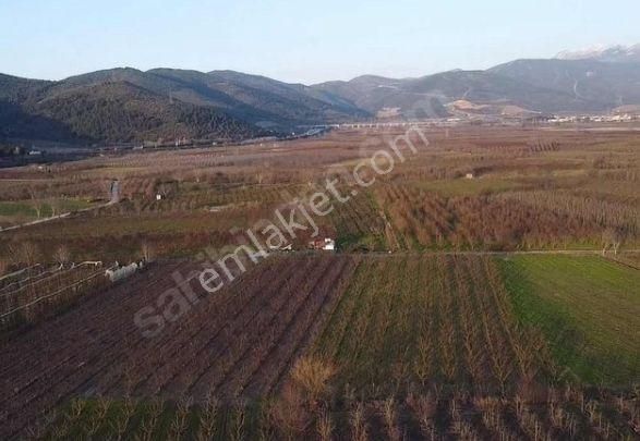 Yıldırım Samanlı`da Arazi - Görsel 3