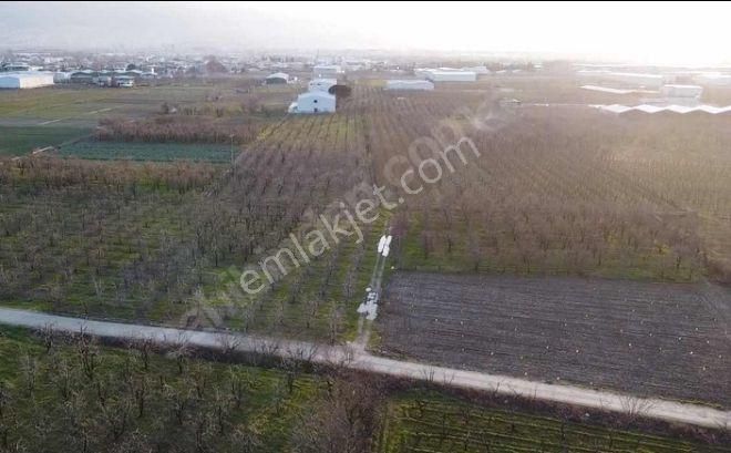 Yıldırım Samanlı`da Arazi - Görsel 9