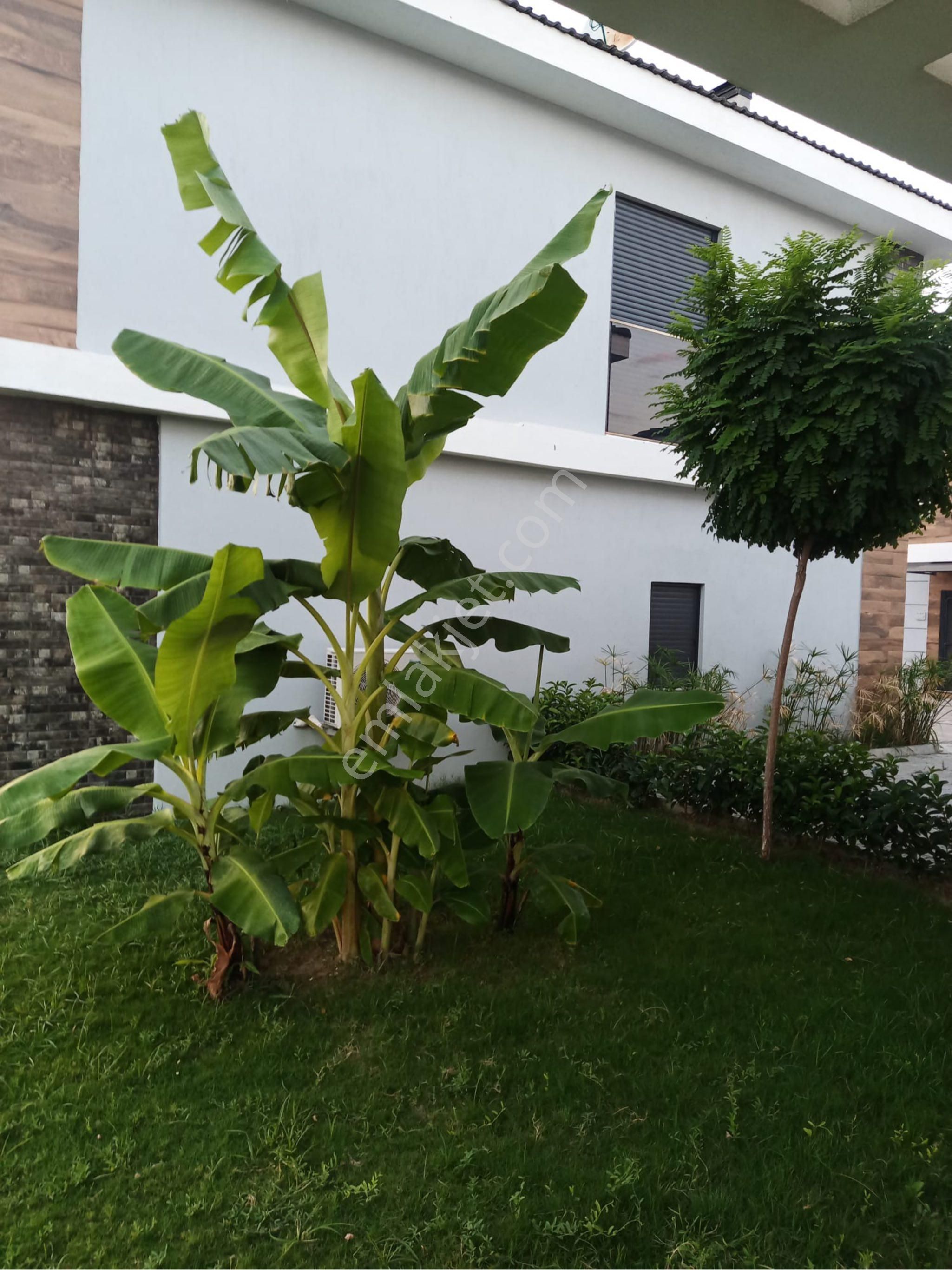 Davutlar'da Denize 650 Metre Mesafede 4+1 Satılık Villa - Görsel 23