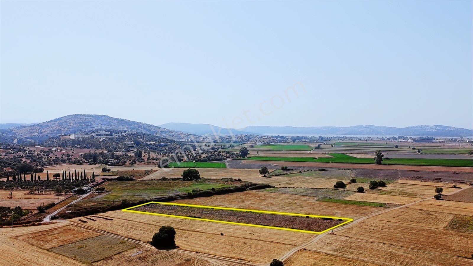 Milas Dörttepe Mahallesi Denize Yakın İmarlı 4023 M2 Arsa !!! - Görsel 12