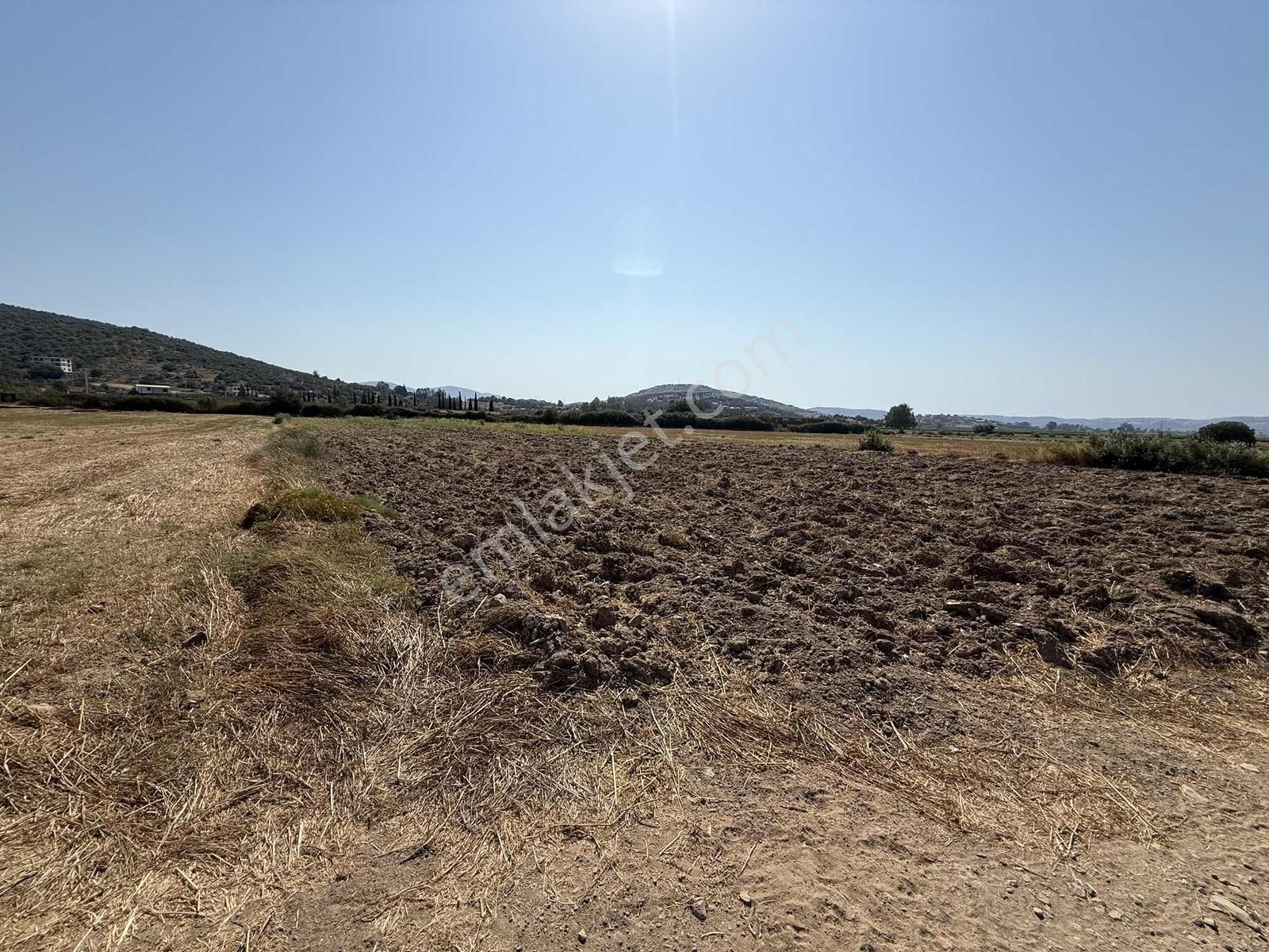 Milas Dörttepe Mahallesi Denize Yakın İmarlı 4023 M2 Arsa !!! - Görsel 6