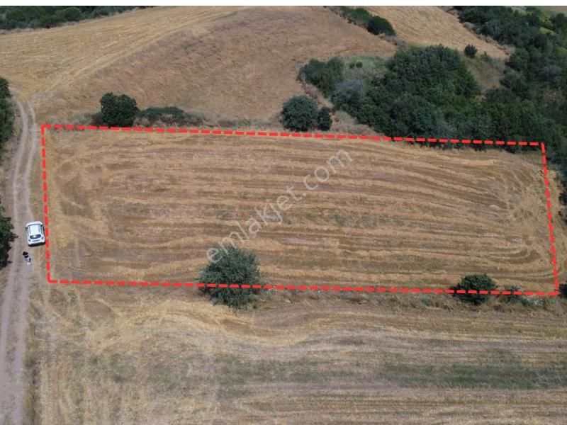 Çanakkale Biga Şirinköyde Denize Ve Merkeze Yakın Arazi - Görsel 3