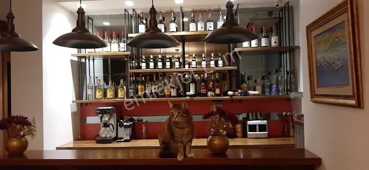 Şişli Köşe Konumda Ruhsatlı 40 Yıllık Faal 15 Odalı 7 Katlı Otel - Görsel 15