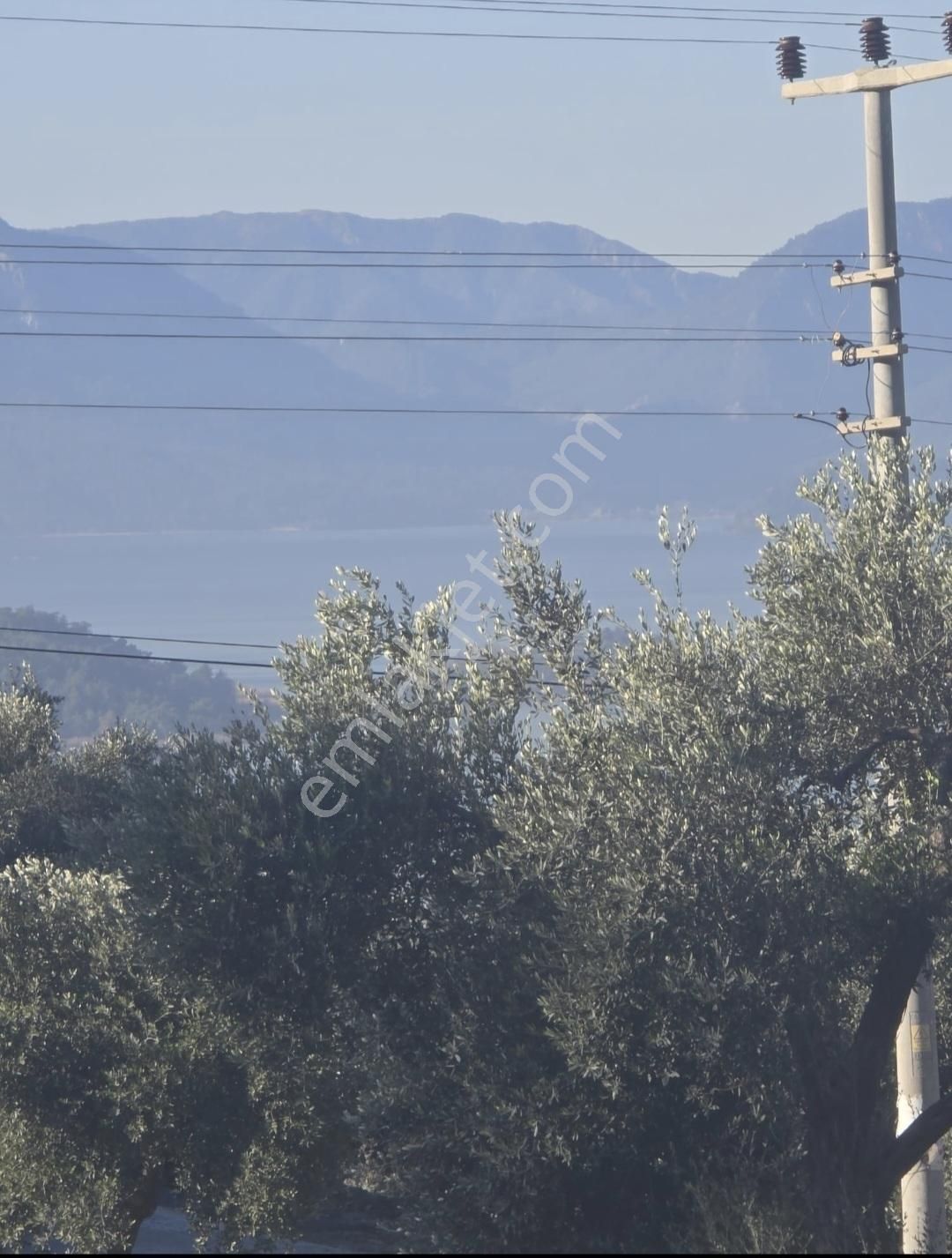 Köyceğiz Zeytinalanında Satılık Müstakil 3 Adet Ev - Görsel 6