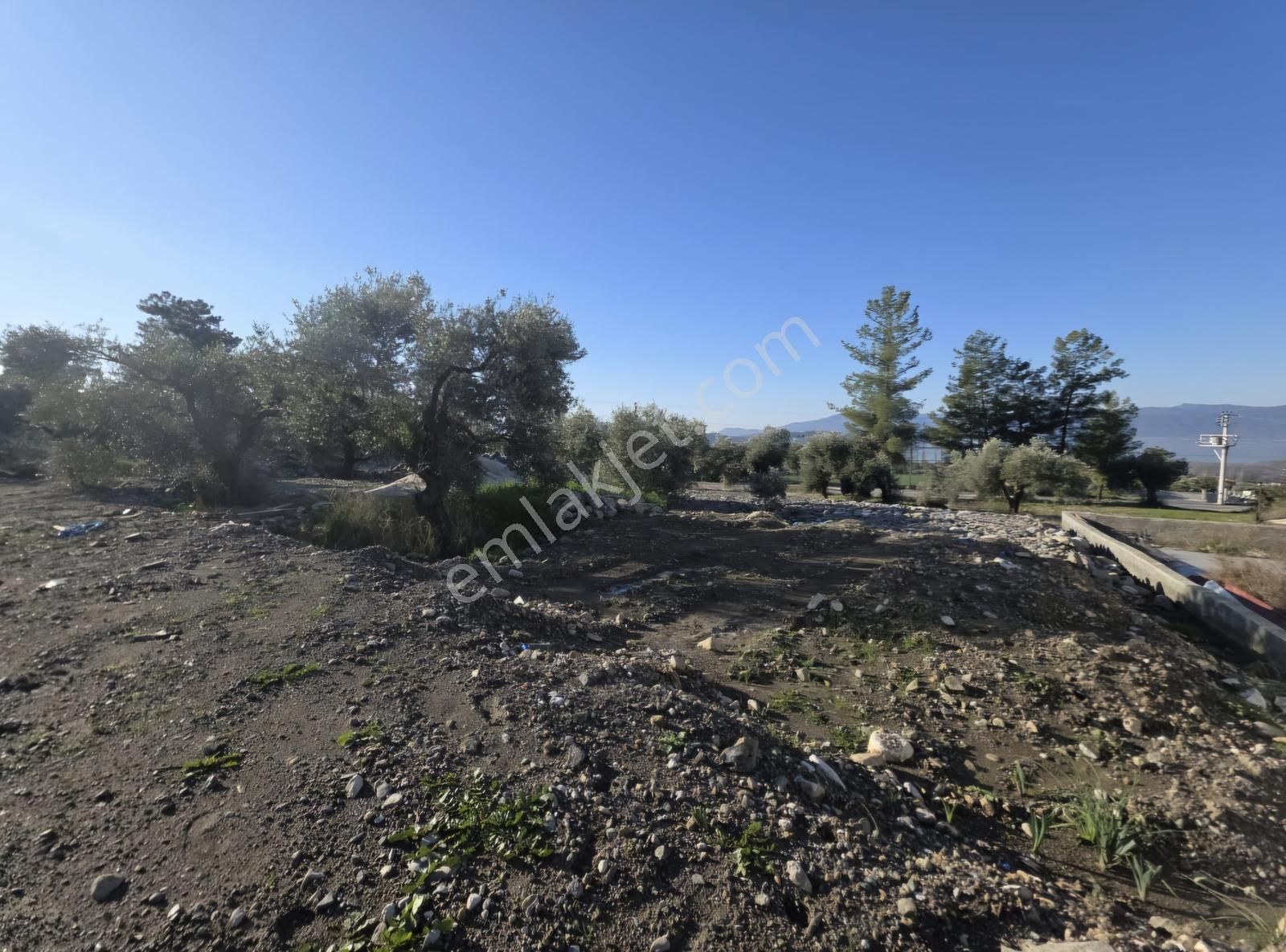 Köyceğiz Zeytinalanında Satılık Müstakil 3 Adet Ev - Görsel 31