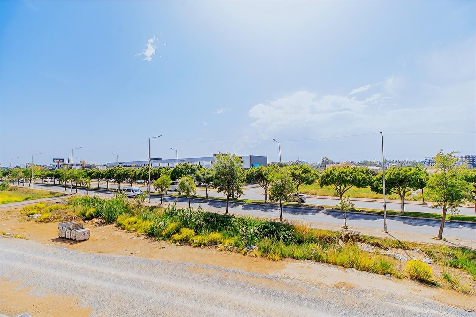 Altıntaş 3+1 Dubleks Daire İskanlı Ve Taşınmaya Hazır - Görsel 25