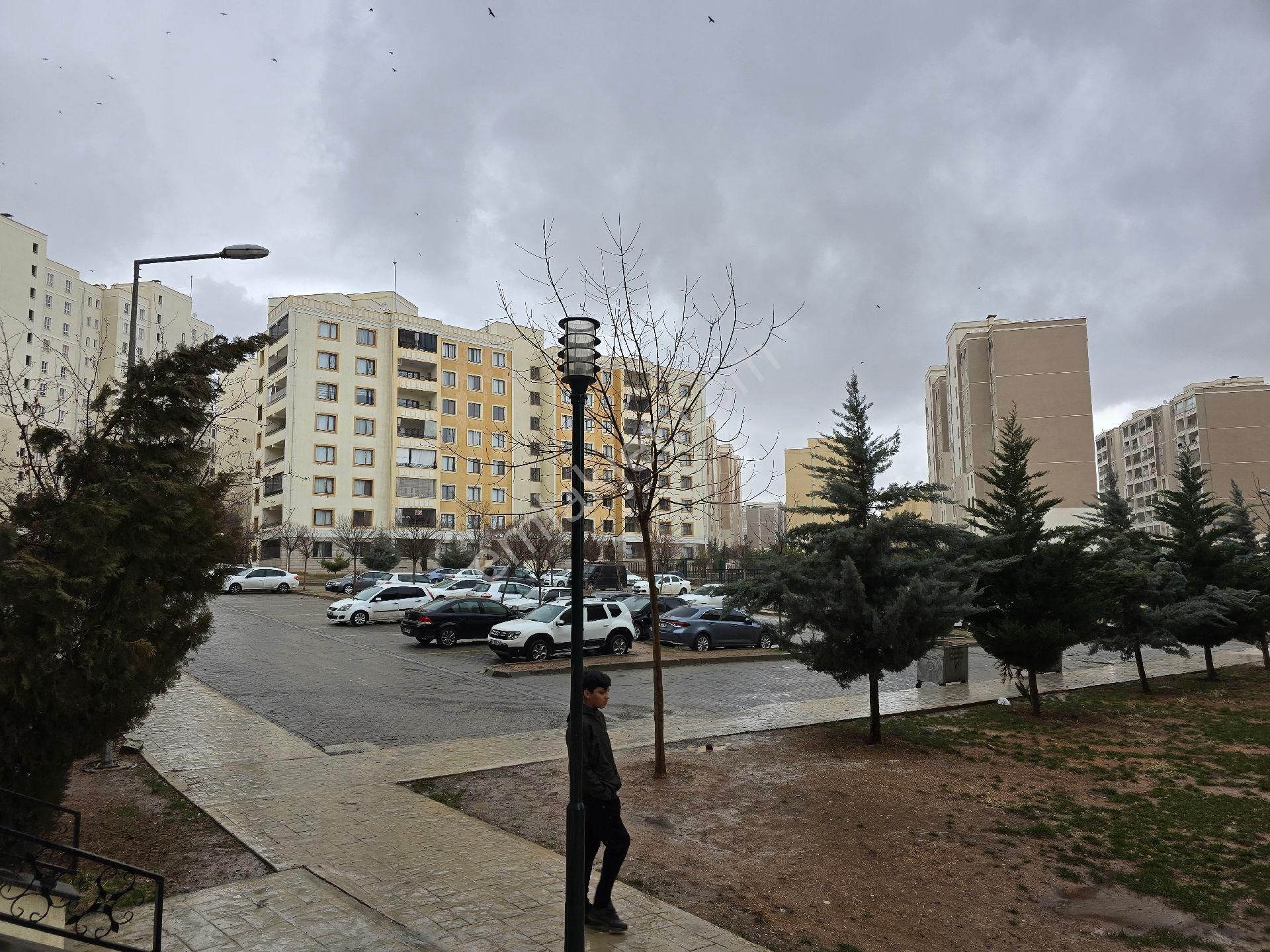 Cadde Seyran'dan Acil Satılık 2+0 Yüksek Giriş Sarı Toki - Görsel 13