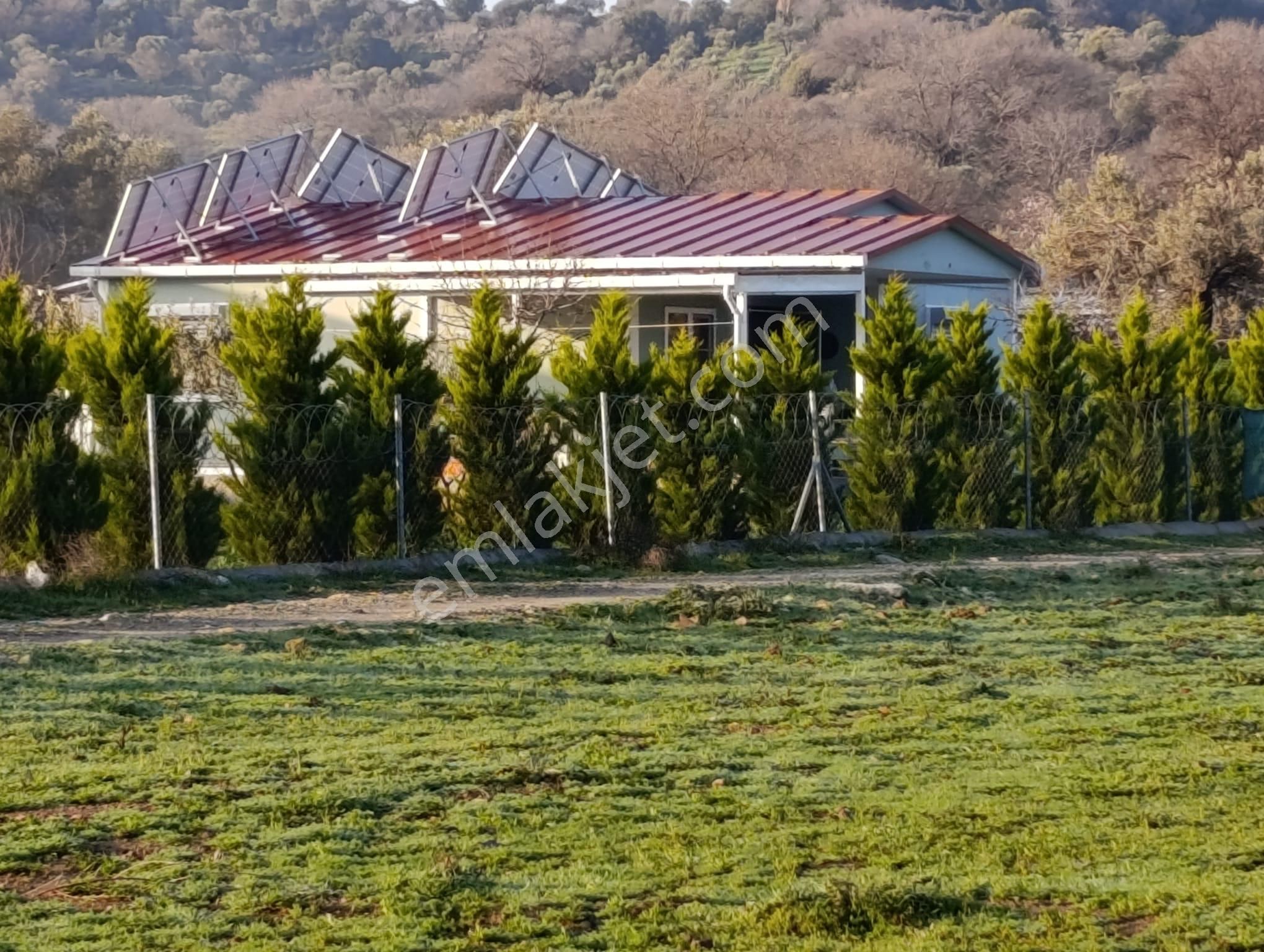Foça Bucak Mevkiinde Satılık 1500m2 Hisse Tapulu Arazi - Görsel 5