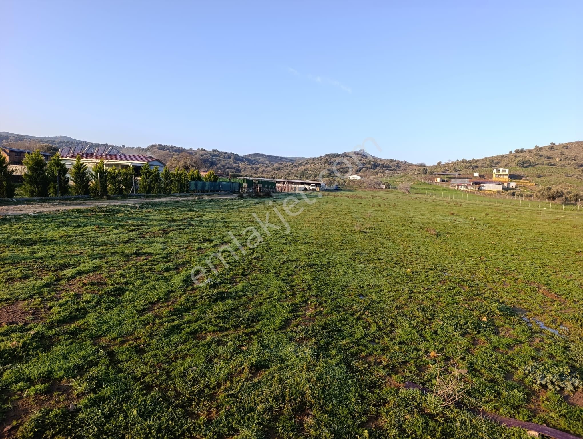 Foça Bucak Mevkiinde Satılık 1500m2 Hisse Tapulu Arazi - Görsel 3