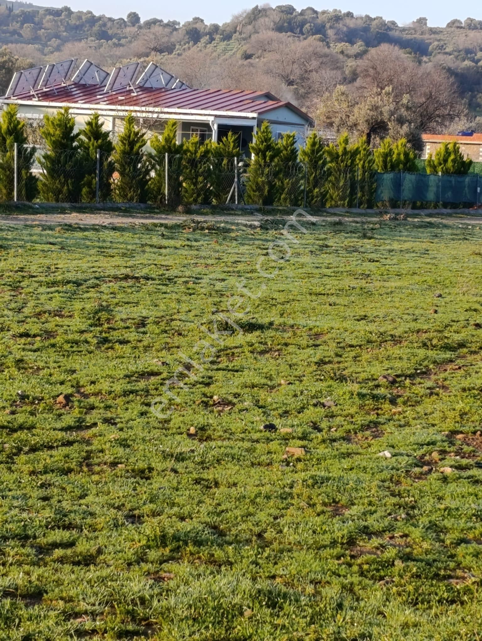 Foça Bucak Mevkiinde Satılık 1500m2 Hisse Tapulu Arazi - Görsel 7