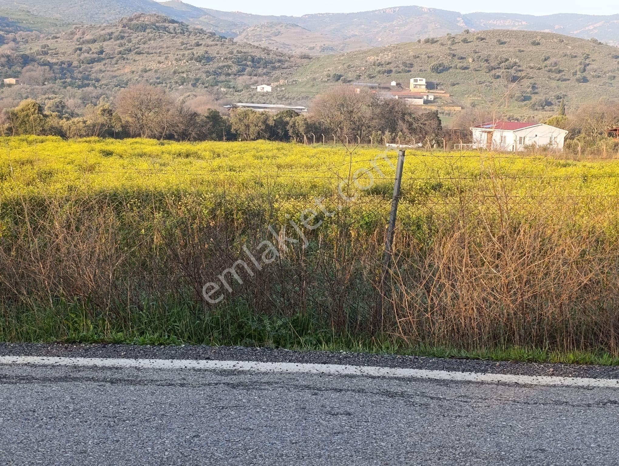 Foça Bucak Mevkiinde Satılık 1500m2 Hisse Tapulu Arazi - Görsel 8