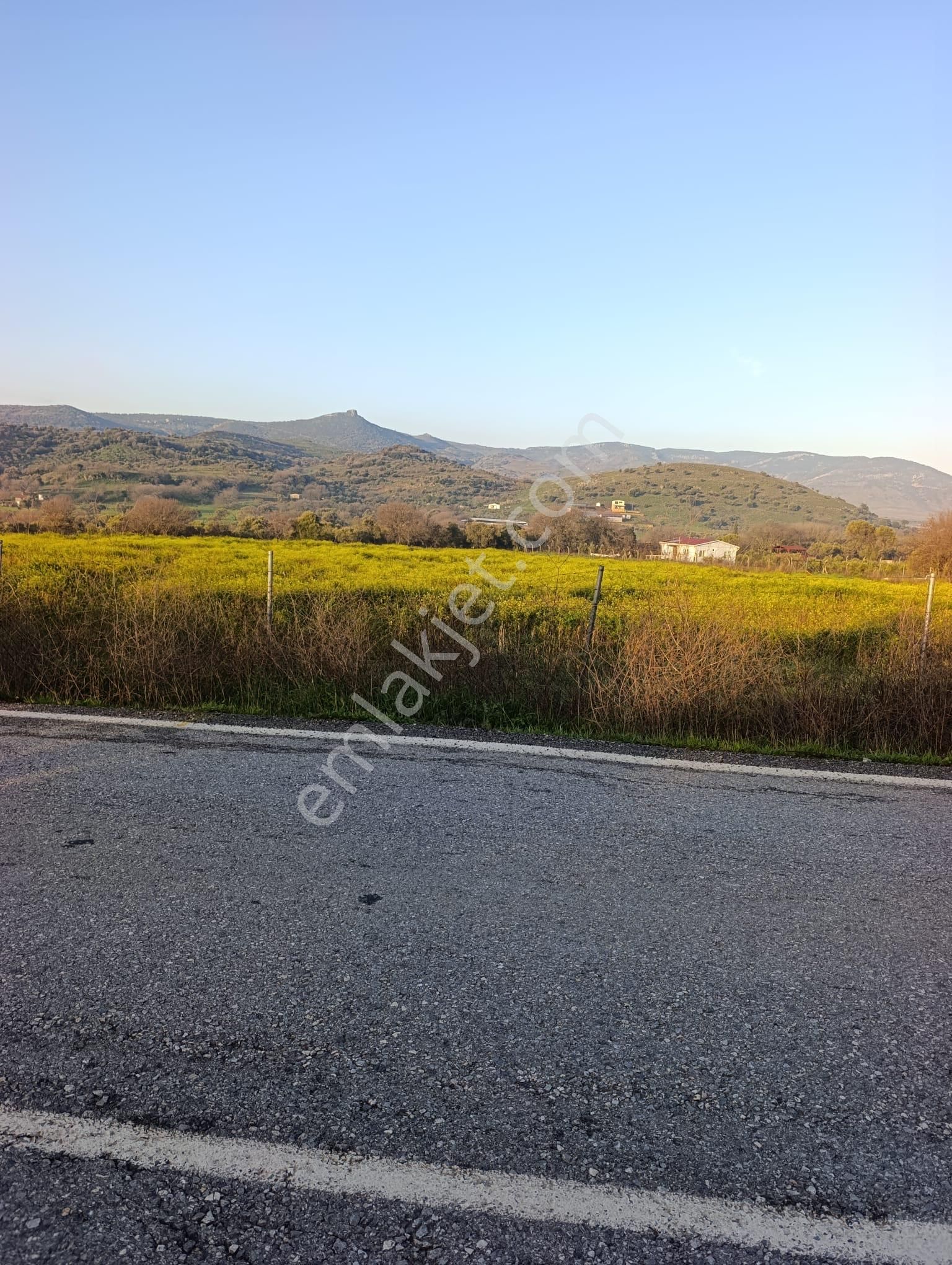 Foça Bucak Mevkiinde Satılık 1500m2 Hisse Tapulu Arazi - Görsel 10